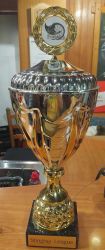 Pokal